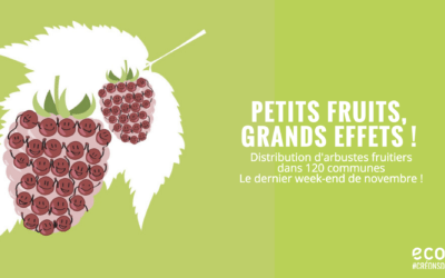 Alimentation et société en crise ?  Un petit fruitier pour rappeler qu’il n’y a pas de fatalité !